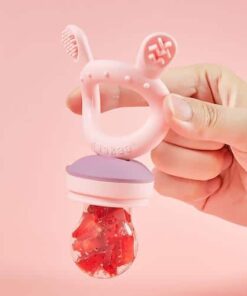 haakaa Fresh Food Feeder and Teether