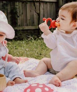 haakaa Fresh Food Feeder and Teether