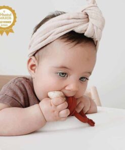 haakaa Fresh Food Feeder and Teether