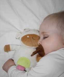 Haakaa NanoSilver Dummy