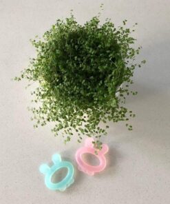 haakkaa Silicone Rabbit Ear Teether