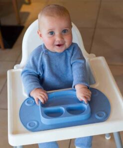 Portable Baby Divided Suction Tray (EasyMat Mini)
