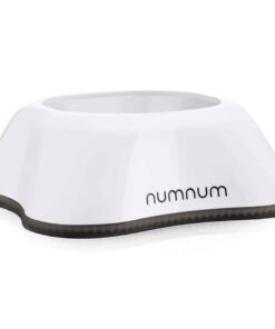 NumNum Beginner Bowl