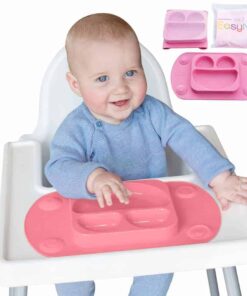 Portable Baby Divided Suction Tray (EasyMat Mini)