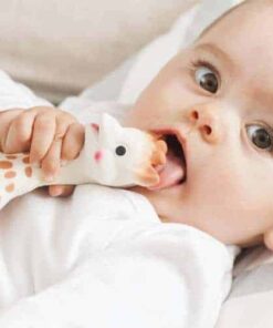 sophie giraffe teether
