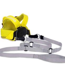 trunk toddlepak leeroy lion