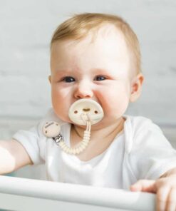 Haakaa Silicone Flexi-Dummy and Holder Set